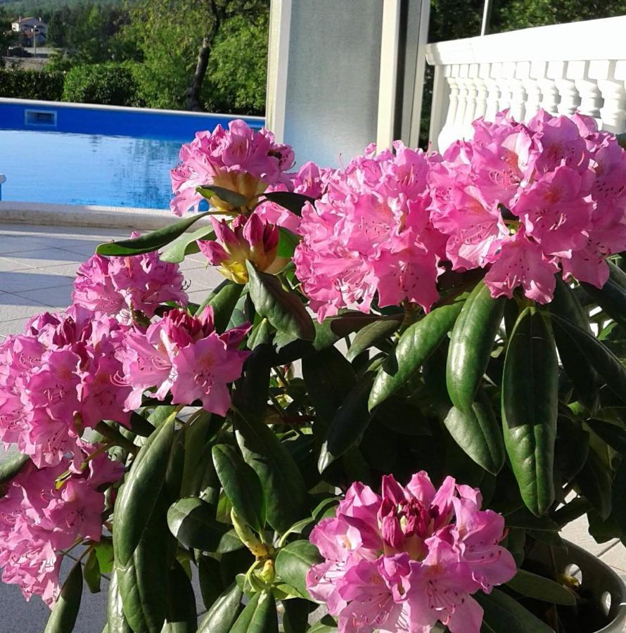 Guest House Surina Rupa Exterior foto